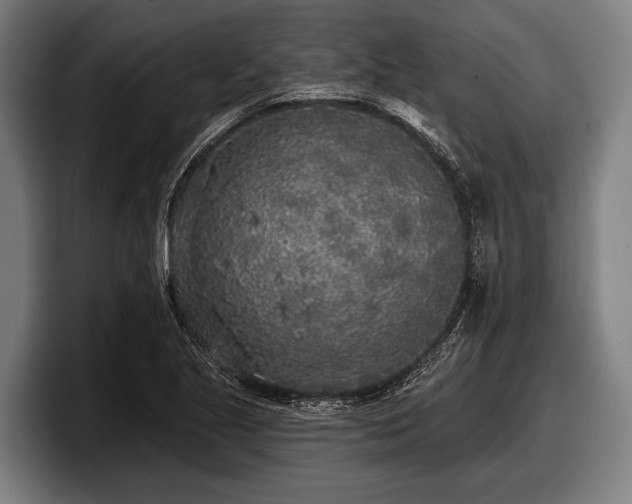 X0000097811221200803201411