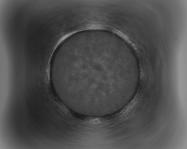 X0000097811222200803201411