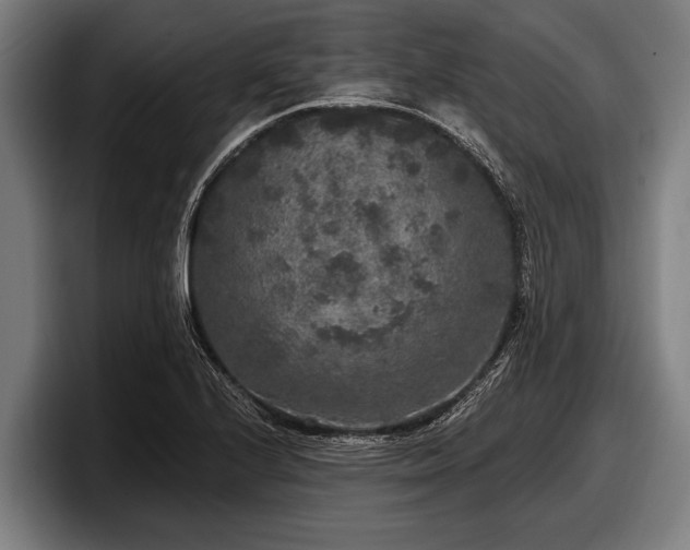 X0000097811224200803201411