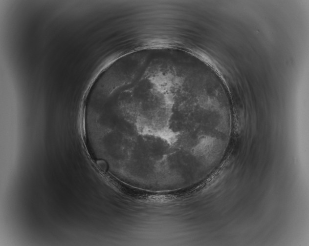 X0000097811227200803201411