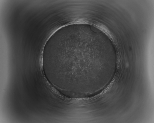 X0000097811228200803201411