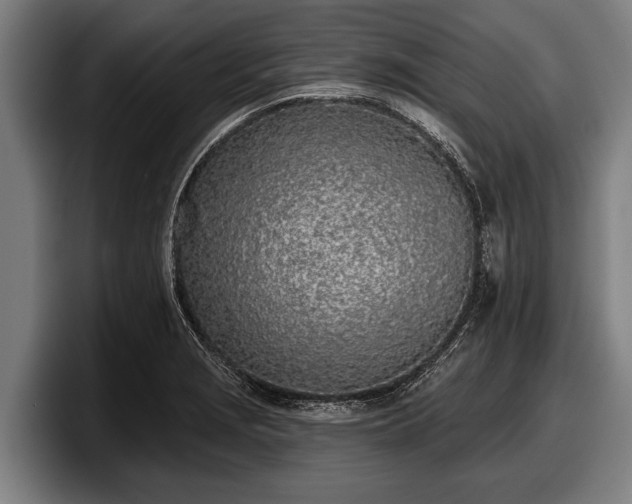 X0000097811229200803201411