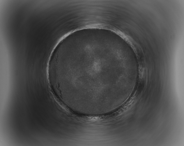 X0000097811230200803201411