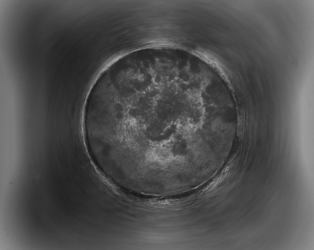 X0000097811231200803201411