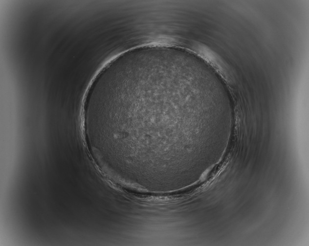 X0000097811232200803201411