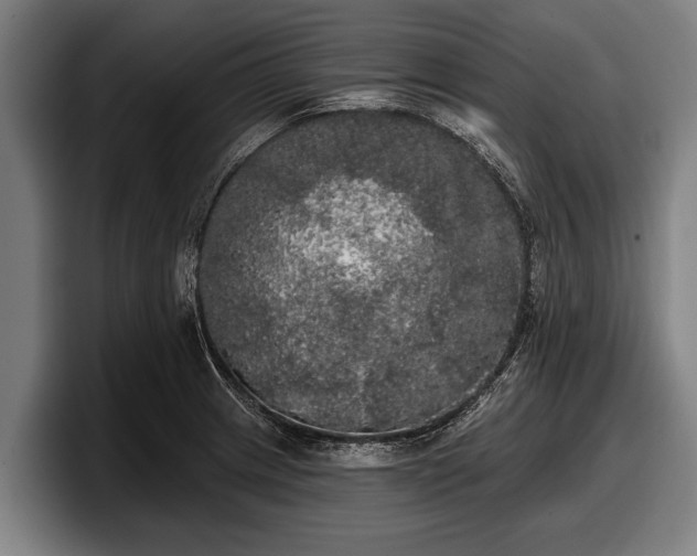 X0000097811233200803201411