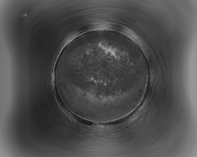 X0000097811234200803201411