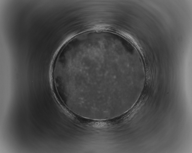 X0000097811235200803201411