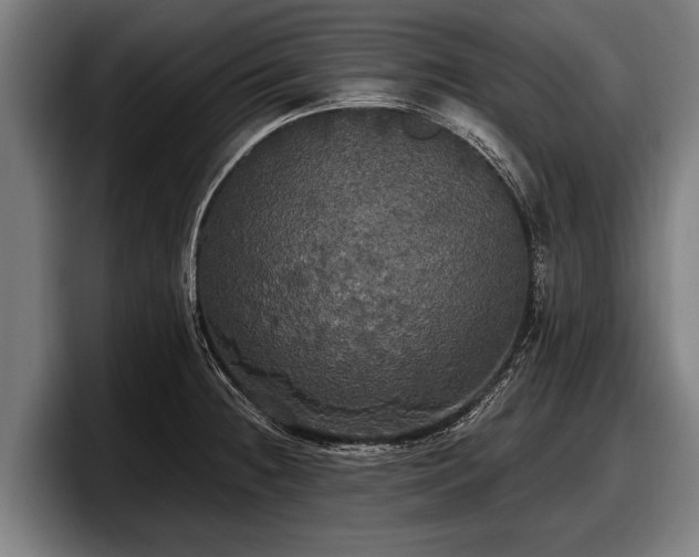 X0000097811236200803201411