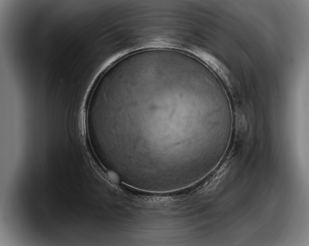 X0000097811238200803201411