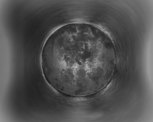 X0000097811239200803201411