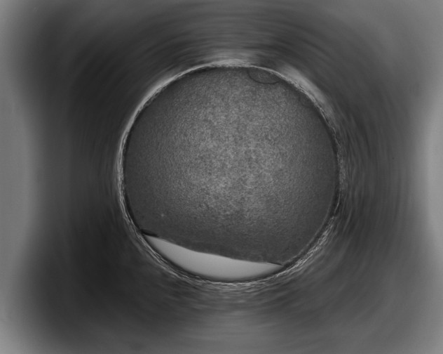 X0000097811240200803201411