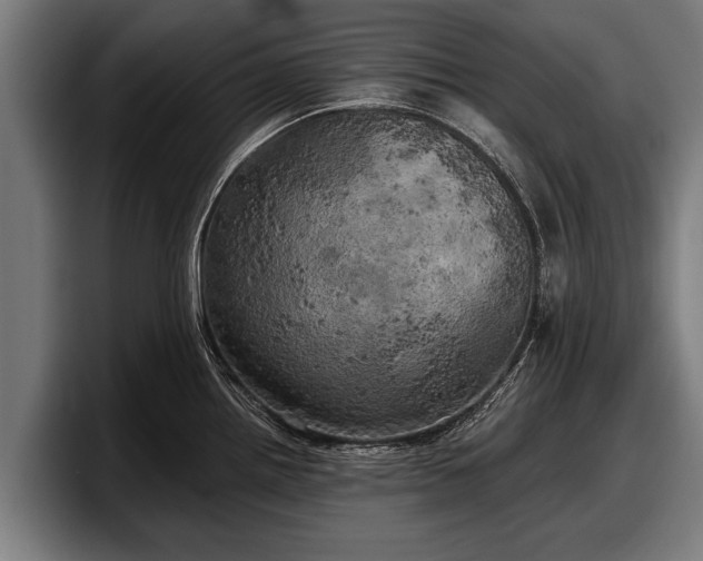 X0000097811242200803201411