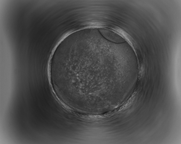 X0000097811243200803201411