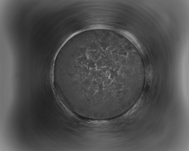 X0000097811244200803201411