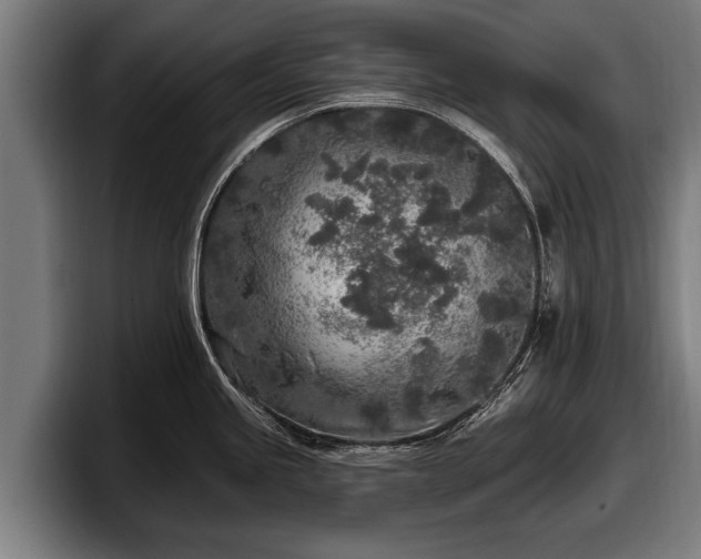 X0000097811245200803201411