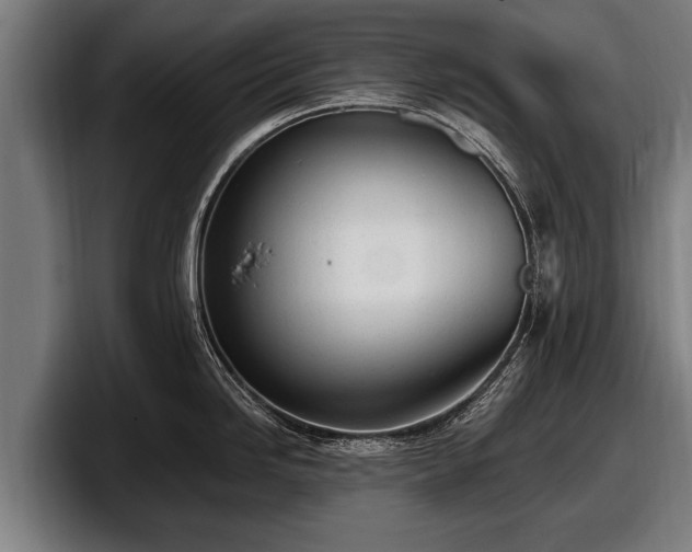 X0000097811246200803201411