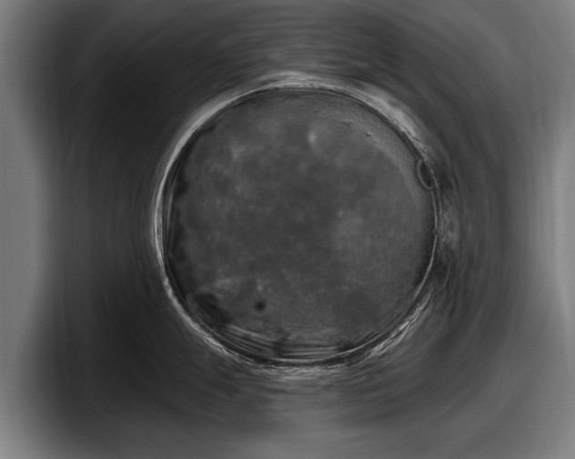 X0000097811247200803201411