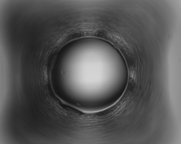 X0000097811252200803201410