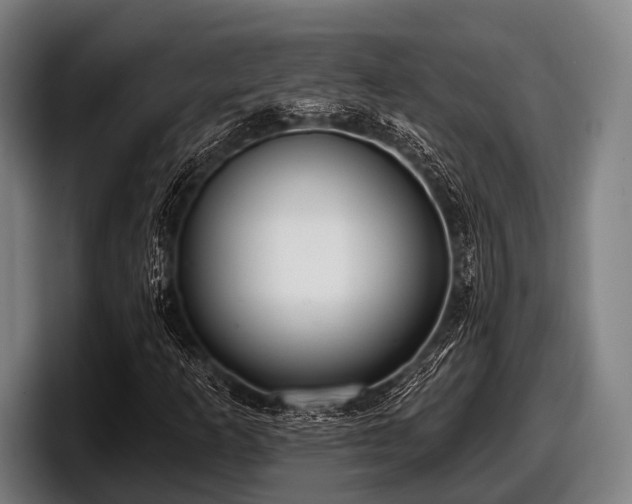 X0000097811253200803201410