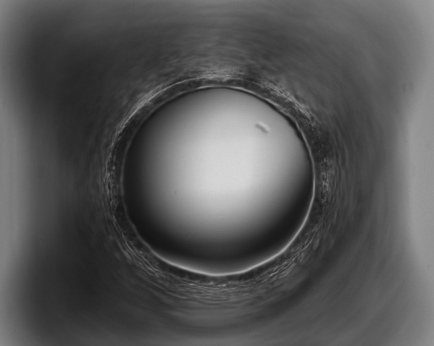 X0000097811256200803201410