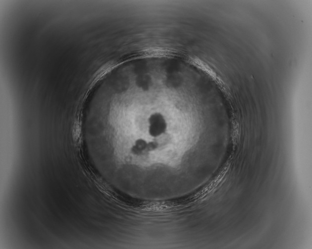 X0000097811259200803201410