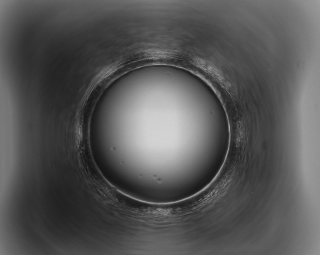 X0000097811261200803201410