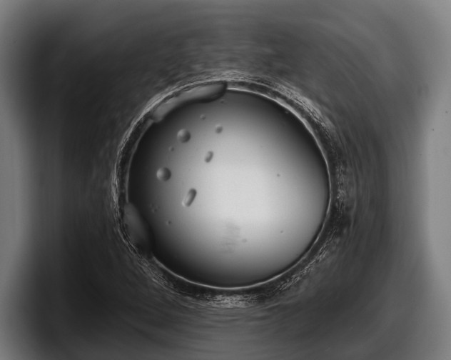 X0000097811264200803201410