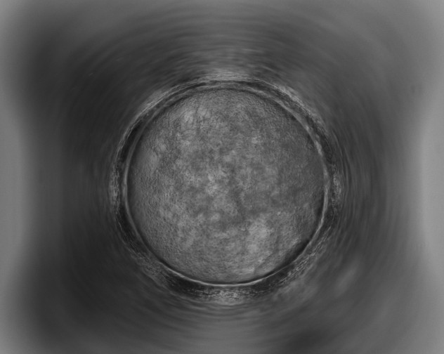 X0000097811266200803201410