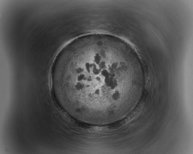 X0000097811271200803201410