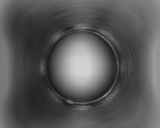 X0000097811273200803201410