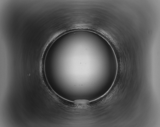 X0000097811277200803201410