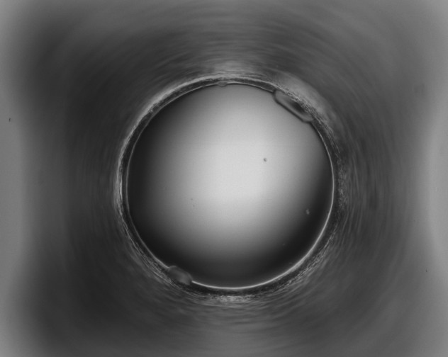 X0000097811280200803201410