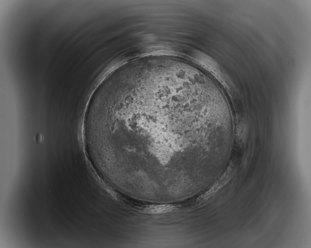 X0000097811282200803201410