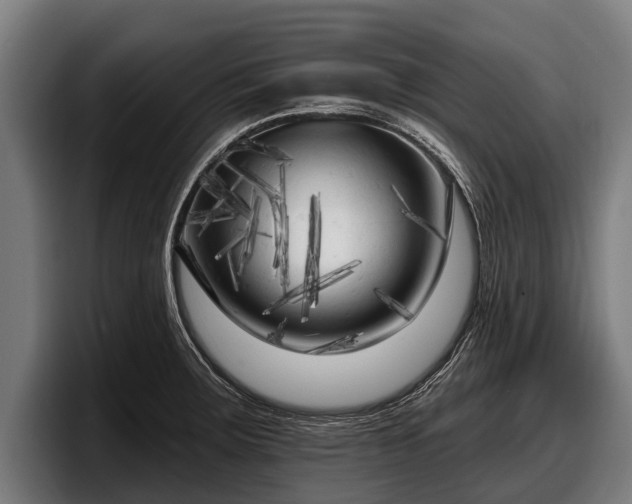 X0000097811283200803201410