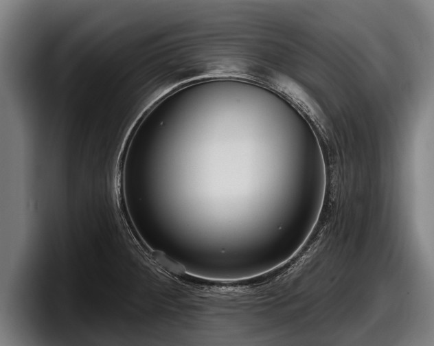 X0000097811284200803201410