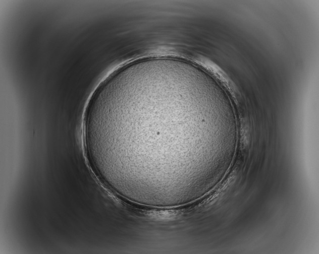 X0000097811286200803201410