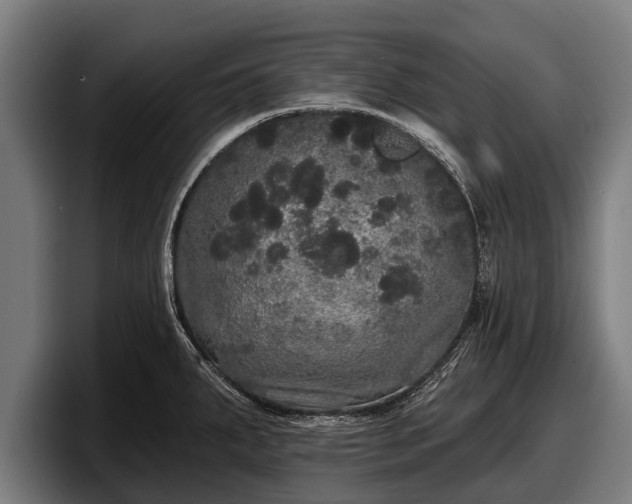 X0000097811287200803201410