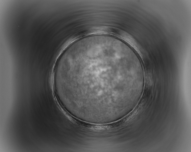 X0000097811290200803201410