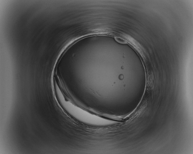 X0000097811291200803201410