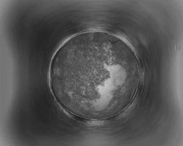 X0000097811294200803201410