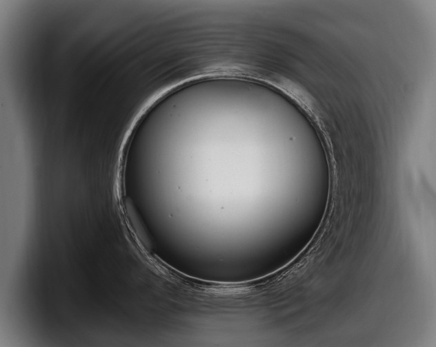 X0000097811296200803201410