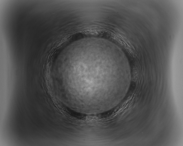 X0000097811297200803201409