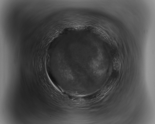 X0000097811298200803201409