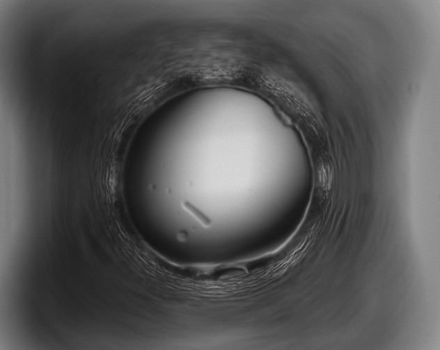 X0000097811300200803201409