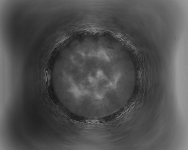 X0000097811302200803201409