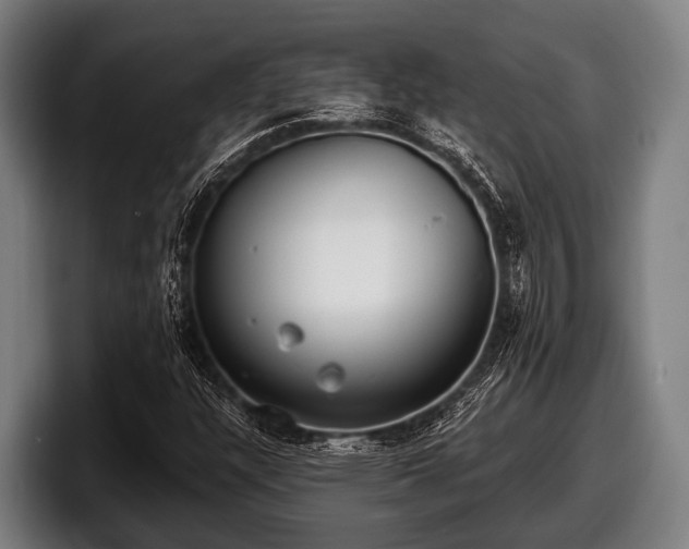 X0000097811304200803201409