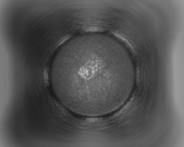 X0000097811305200803201409