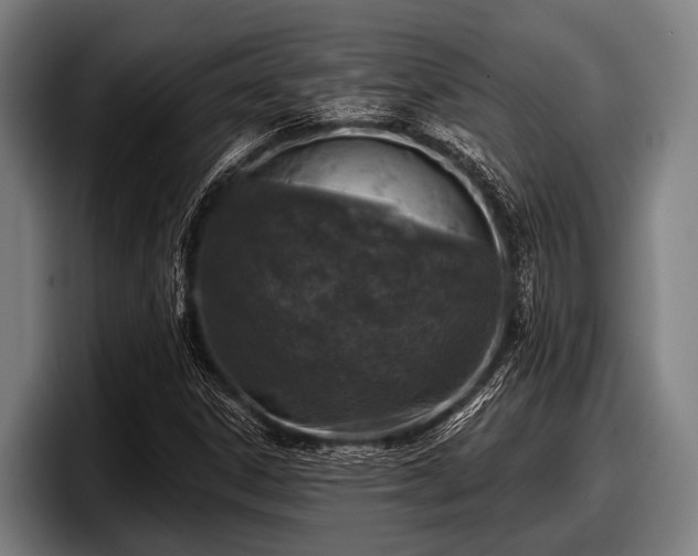 X0000097811306200803201409