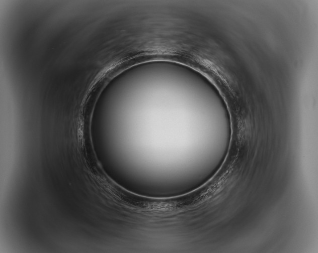 X0000097811307200803201409